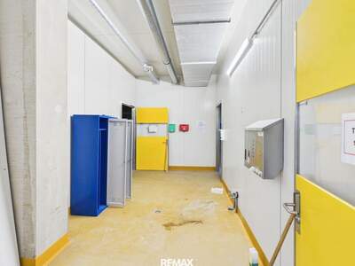 Gewerbeobjekt mieten in 4030 Linz (Bild 4)
