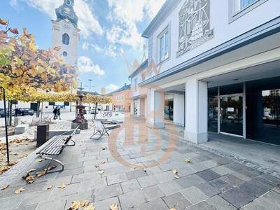 Anlageobjekt kaufen in 8230 Hartberg