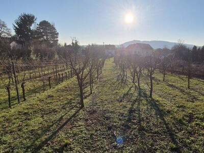 Grundstück kaufen in 2103 Langenzersdorf (Bild 2)