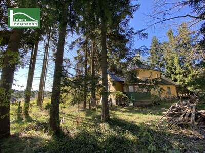 Einfamilienhaus kaufen in 3972 Bad Großpertholz (Bild 3)