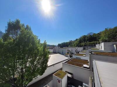 Wohnung mieten in 3500 Krems