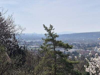 Grundstück kaufen in 2103 Langenzersdorf (Bild 1)