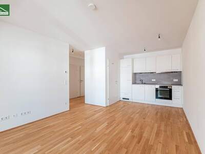 Anlageobjekt kaufen in 1220 Wien