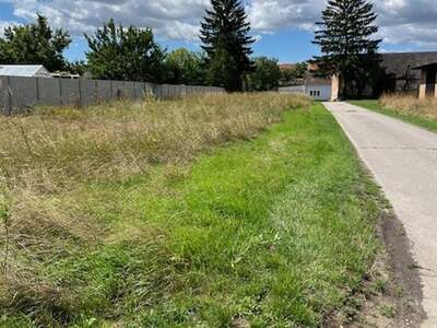 Grundstück kaufen in 2263 Dürnkrut (Bild 1)