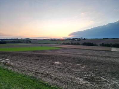 Grundstück provisionsfrei kaufen in 4483 Hargelsberg