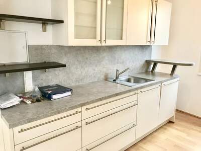 Terrassenwohnung mieten in 1230 Wien (Bild 2)