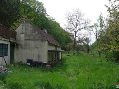 Grundstück kaufen in 3580 Mödring (Bild 5)