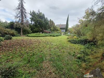 Grundstück kaufen in 2232 Deutsch (Bild 5)