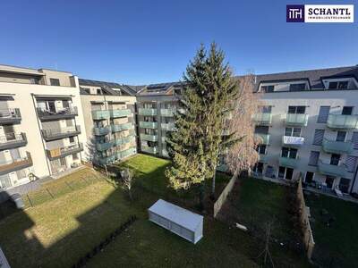 Terrassenwohnung kaufen in 8020 Graz (Bild 5)
