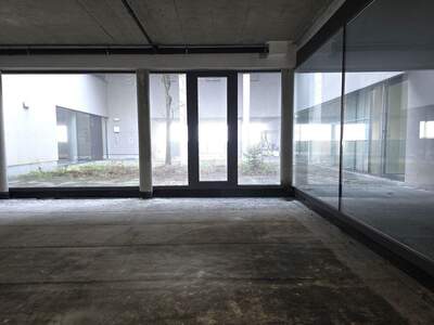 Gewerbeobjekt mieten in 4201 Gramastetten (Bild 5)