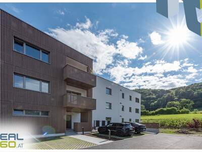Terrassenwohnung kaufen in 4813 Altmünster (Bild 5)