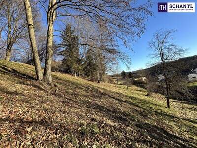 Grundstück kaufen in 8072 Fernitz (Bild 4)