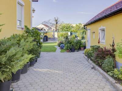 Haus mit Garten kaufen in 2700 Wiener Neustadt (Bild 3)