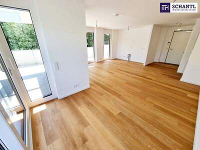 Terrassenwohnung kaufen in 2391 Kaltenleutgeben (Bild 2)