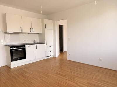 Wohnung mieten in 1230 Wien