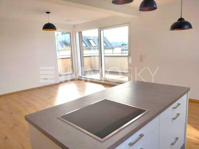 Terrassenwohnung kaufen in 4052 Ansfelden (Bild 2)