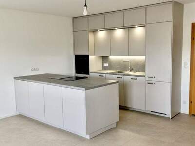 Wohnung mieten in 1130 Hietzing (Bild 3)