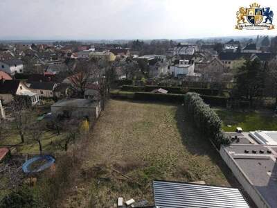 Grundstück kaufen in 2722 Winzendorf