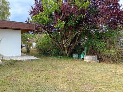Haus mit Garten kaufen in 7061 Trausdorf (Bild 4)