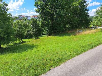 Grundstück kaufen in 4111 Walding (Bild 2)