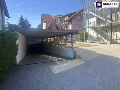 Terrassenwohnung kaufen in 8053 Graz (Bild 5)