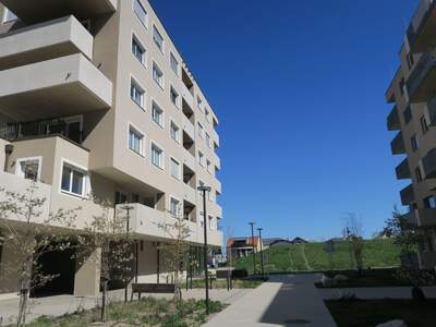 Apartment provisionsfrei mieten in 1220 Wien