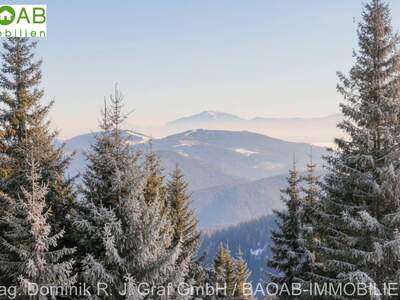 Haus kaufen in 95671 Gurktaler Alpen