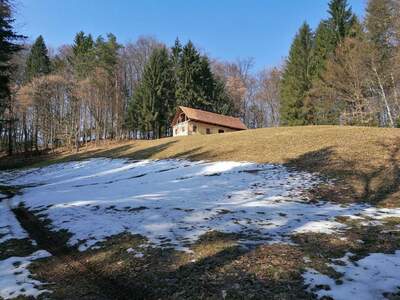 Gewerbeobjekt kaufen in 8461 Ehrenhausen (Bild 5)