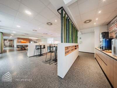 Gewerbeobjekt mieten in 2201 Gerasdorf