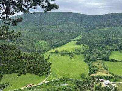 Gewerbeobjekt mieten in 2733 Puchberg