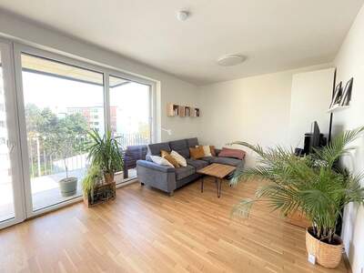 Apartment provisionsfrei mieten in 8020 Steiermark