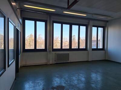 Büro / Praxis mieten in 2340 Mödling (Bild 3)