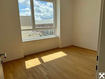 Gewerbeobjekt mieten in 2630 Ternitz (Bild 4)