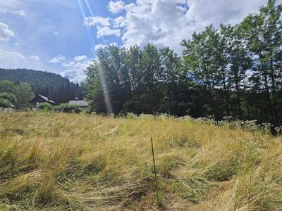 Grundstück kaufen in 9130 Kreuth