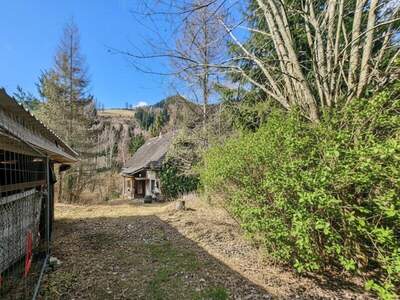Einfamilienhaus kaufen in 8611 St. Katharein (Bild 4)