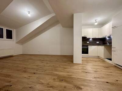 Wohnung mieten in 2542 Kottingbrunn (Bild 2)