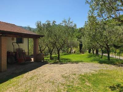 Haus kaufen in 54016 Ripola (Bild 2)