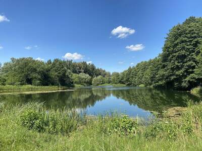 Wohnung kaufen in 1220 Wien