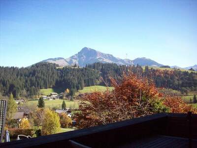 Wohnung provisionsfrei mieten in 6370 Reith