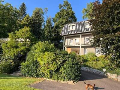 Gewerbeobjekt kaufen in 4320 Perg