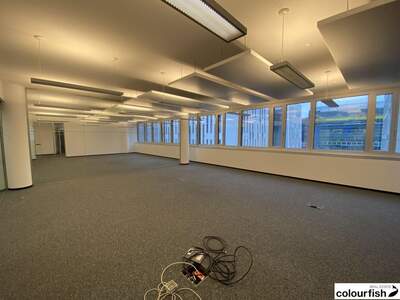 Gewerbeobjekt mieten in 1030 Wien (Bild 4)