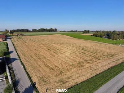 Grundstück kaufen in 4600 Thalheim