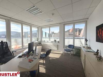 Gewerbeobjekt mieten in 2340 Mödling (Bild 2)