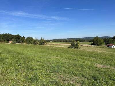 Grundstück kaufen in 3970 Weitra