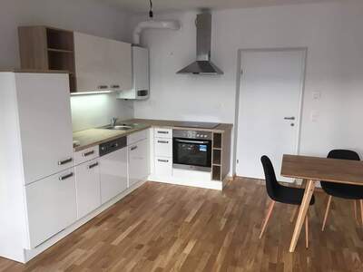 Mietwohnung provisionsfrei in 1020 Wien