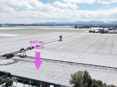 Grundstück kaufen in 4652 Steinerkirchen