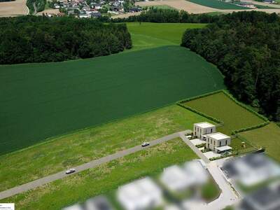 Haus kaufen in 4223 Ruhstetten (Bild 5)