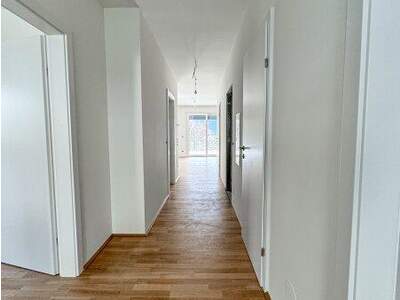 Terrassenwohnung kaufen in 9020 Klagenfurt (Bild 3)
