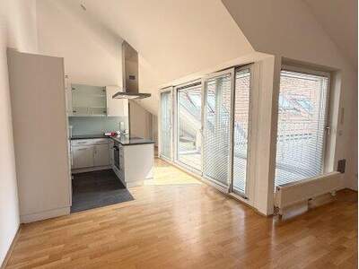 Terrassenwohnung mieten in 1010 Wien (Bild 4)
