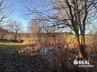 Haus kaufen in 4262 Dorf Leopoldschlag (Bild 2)